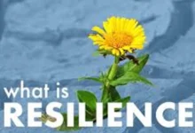 Importance of Resilience