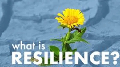 Importance of Resilience