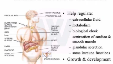 Hormones