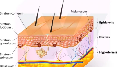 Skin Layers