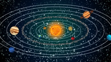 Importance of the Solar System