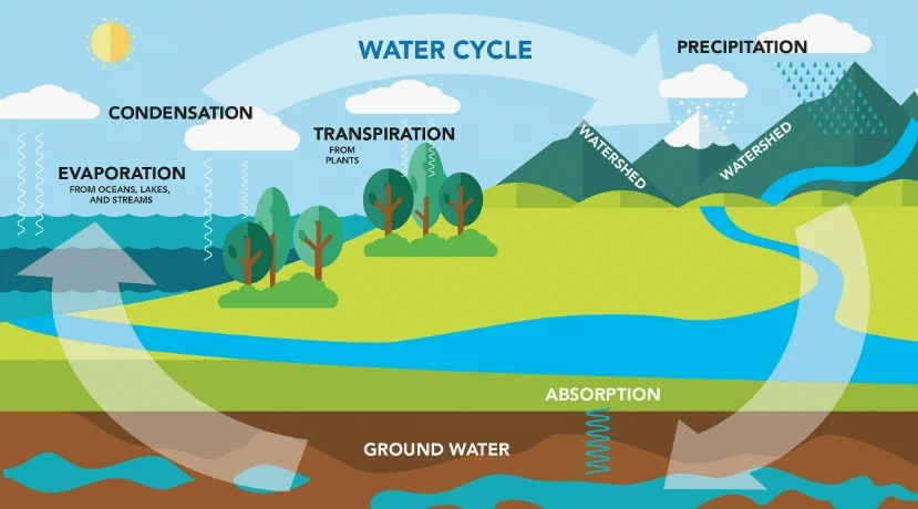 Water Cycle